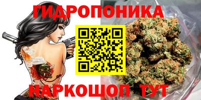 амф Кандалакша