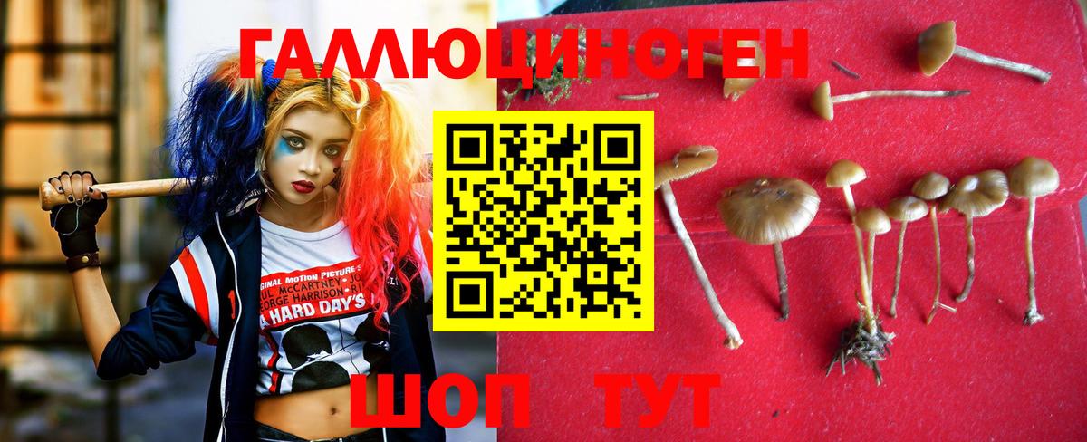 Псилоцибиновые грибы ЛСД Кумертау