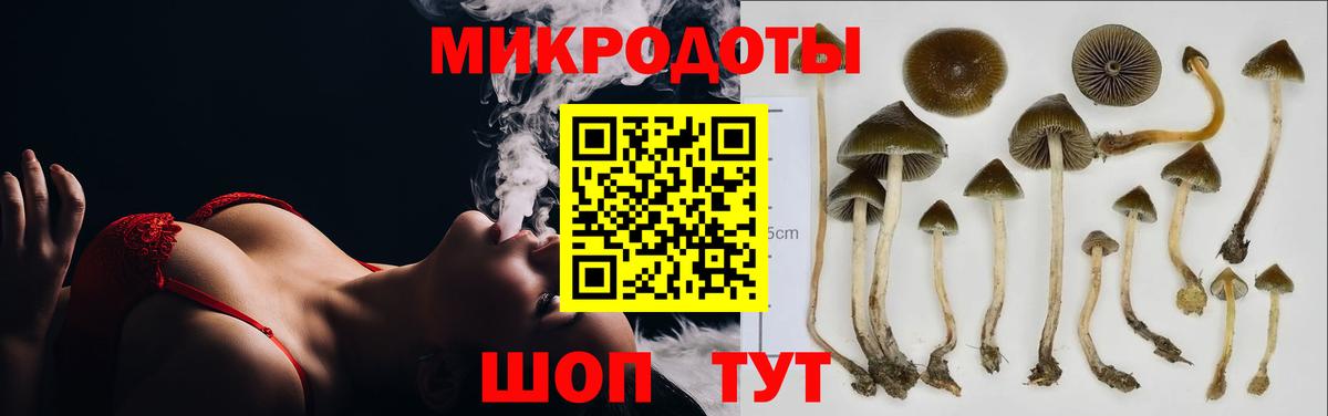 Кумертау  Галлюциногенные грибы мицелий  Вход с VPN 